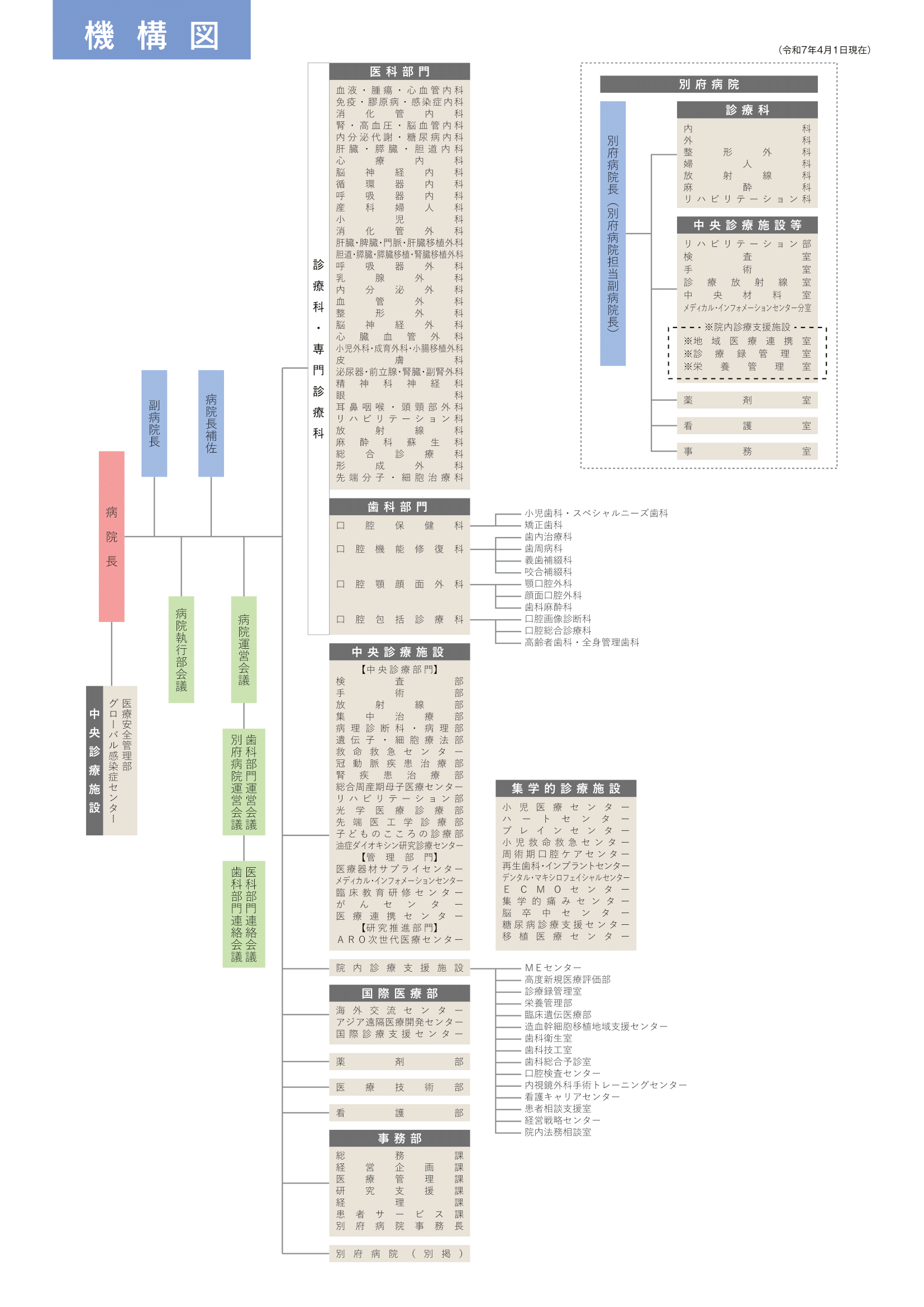 機構図（2024）